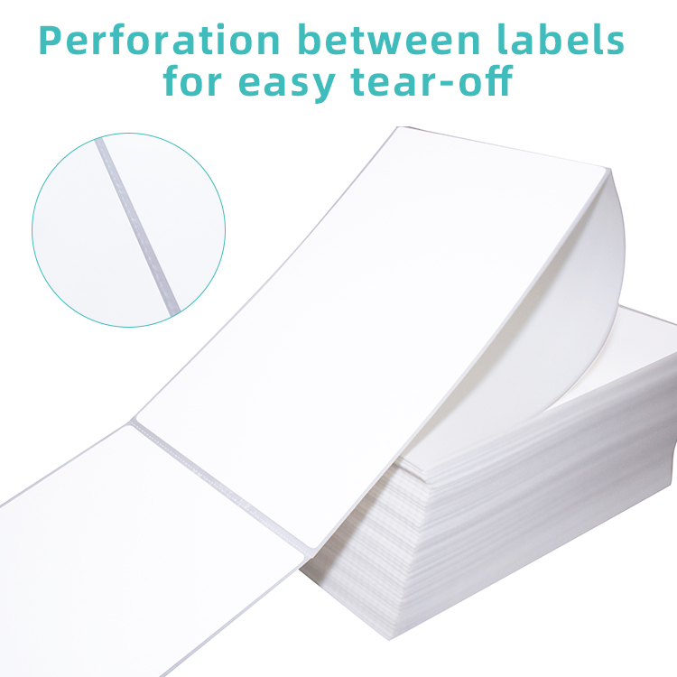 Thermal Shipping Label 4x6