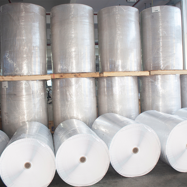 Factory Supply Synthetic PP BOPP PET Inkjet Matt Silver Self Adhesive Thermal Label Paper Jumbo Roll