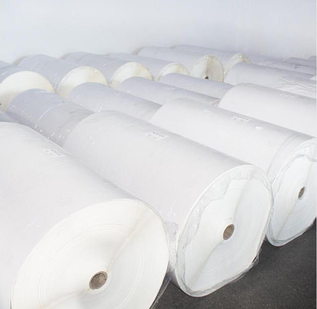 BOPP Label self adhesive jumbo roll Factory