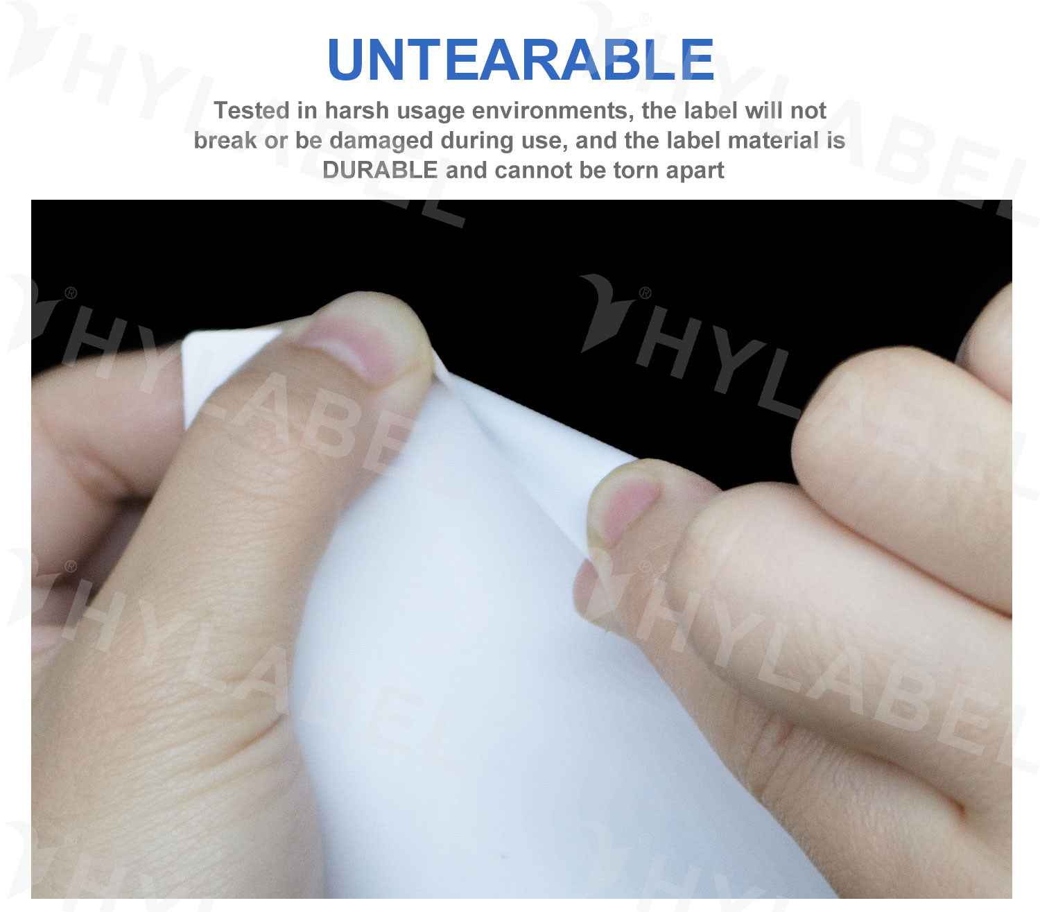 frozen label (2).jpg