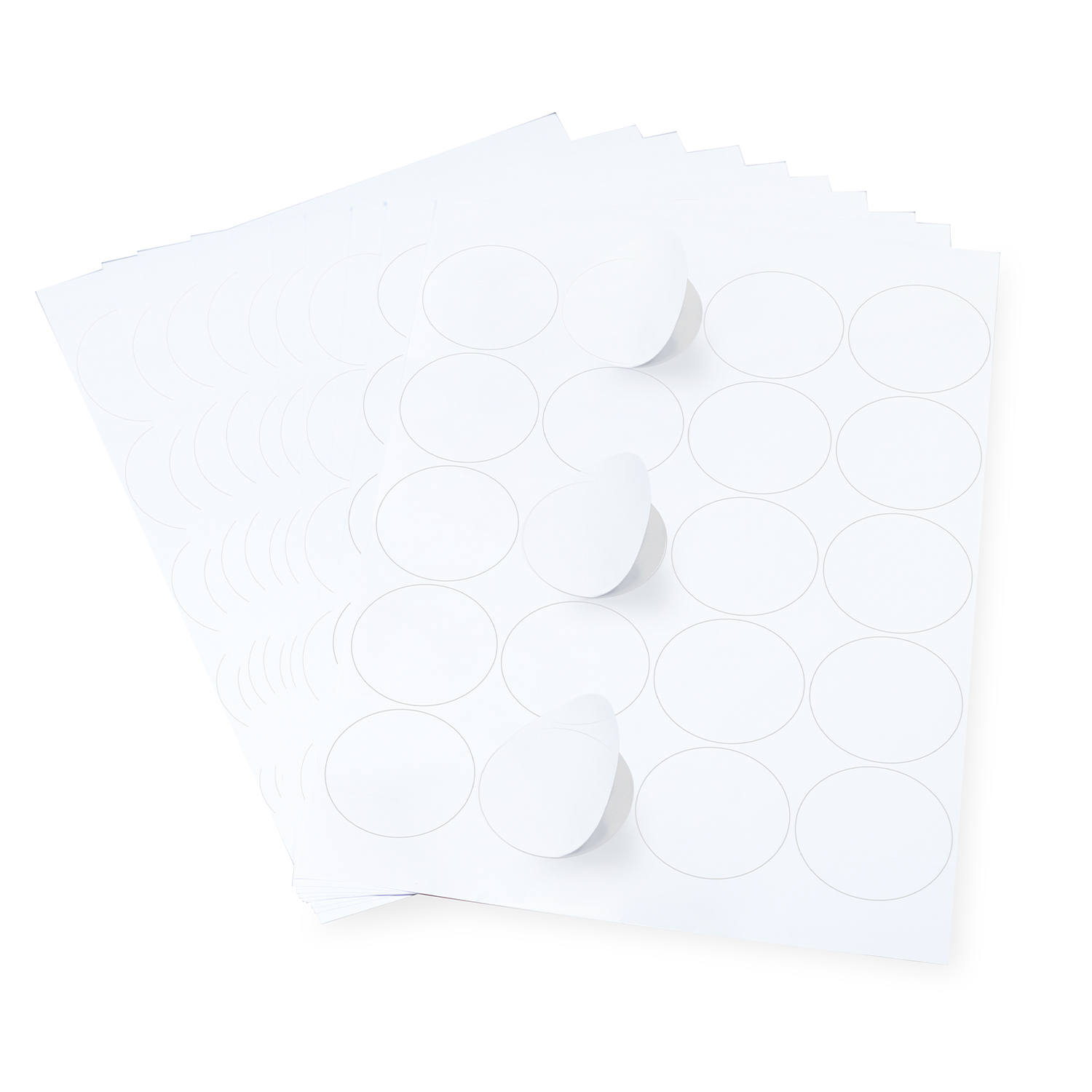 A4 Paper Label