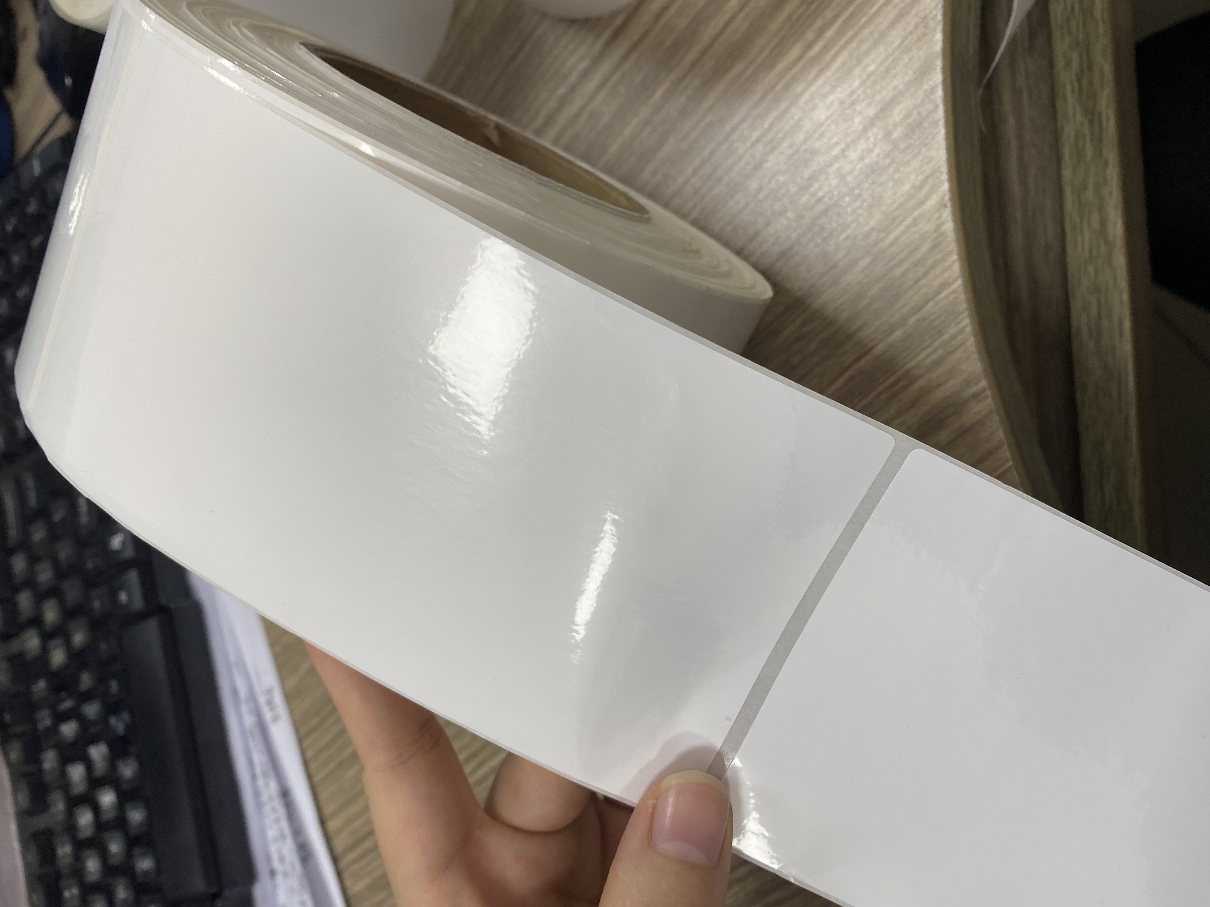 PP film White glossy.jpg