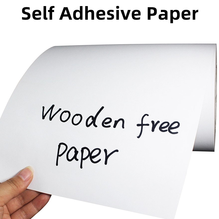 书写纸210白底 1000x1000-2_879_879.png