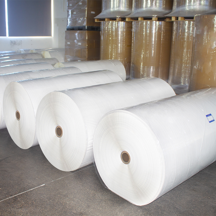 Factory Supply Thermal Label Paper Synthetic PP BOPP PET Inkjet Matt Silver Self Adhesive Jumbo Roll
