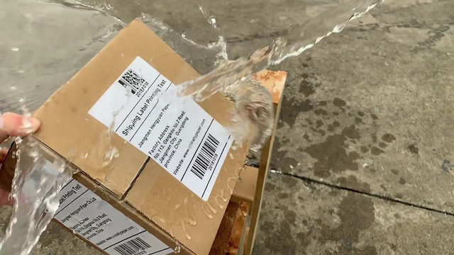 Free Sample Zebra Adhesive Sticker Thermal Shipping Label Barcode Label Roll